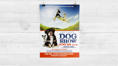 Short Run Posters 